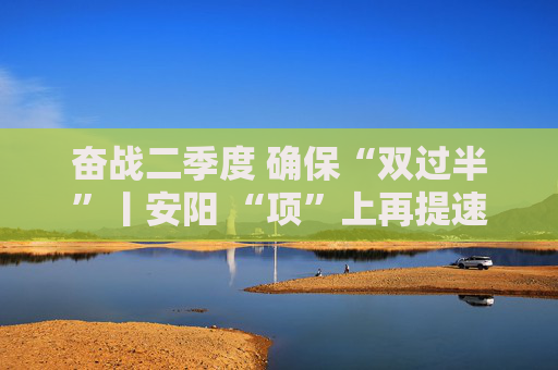 奋战二季度 确保“双过半”丨安阳 “项”上再提速