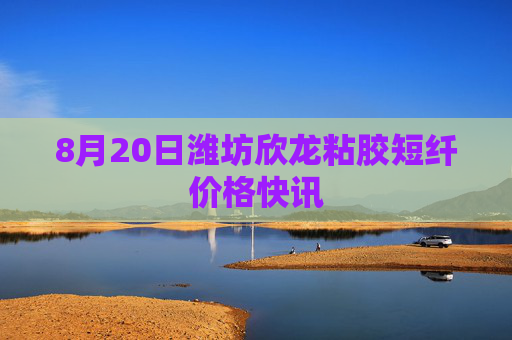 8月20日潍坊欣龙粘胶短纤价格快讯