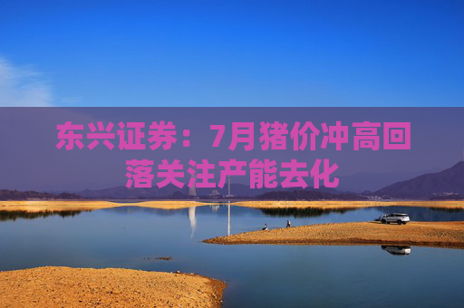 东兴证券：7月猪价冲高回落关注产能去化