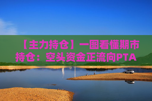 【主力持仓】一图看懂期市持仓：空头资金正流向PTA、玉米、尿素等品种