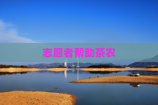 志愿者帮助茶农