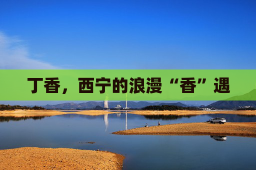 丁香，西宁的浪漫“香”遇