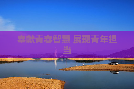 奉献青春智慧 展现青年担当