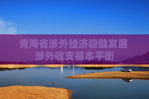 青海省涉外经济稳健发展 涉外收支基本平衡