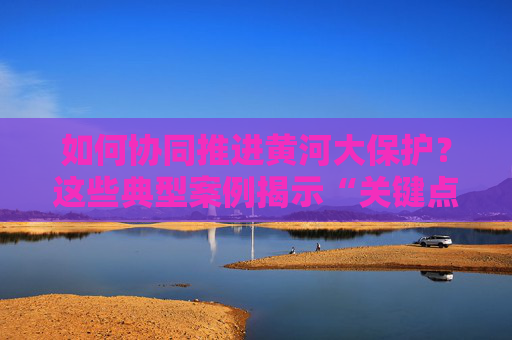 如何协同推进黄河大保护？这些典型案例揭示“关键点”