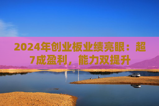 2024年创业板业绩亮眼：超7成盈利，能力双提升