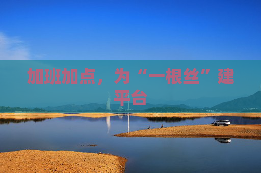 加班加点，为“一根丝”建平台