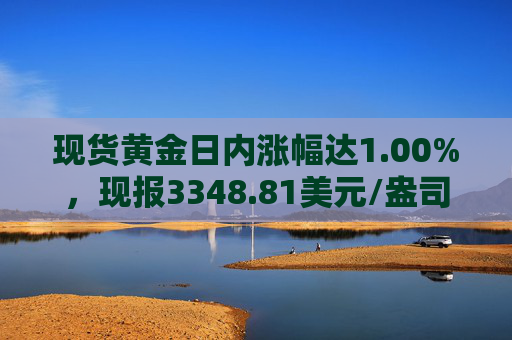 现货黄金日内涨幅达1.00%，现报3348.81美元/盎司