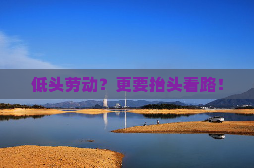 低头劳动？更要抬头看路！