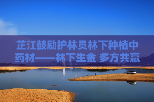 芷江鼓励护林员林下种植中药材——林下生金 多方共赢
