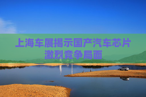 上海车展揭示国产汽车芯片激烈竞争局面