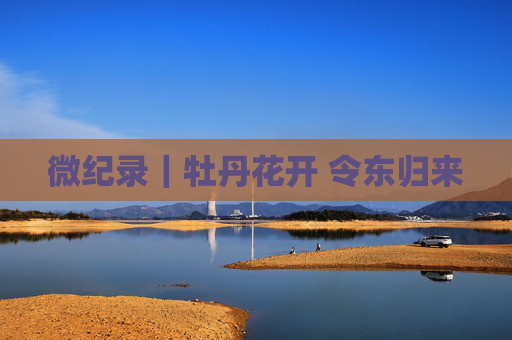 微纪录｜牡丹花开 令东归来