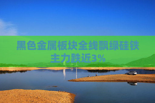 黑色金属板块全线飘绿硅铁主力跌近3%