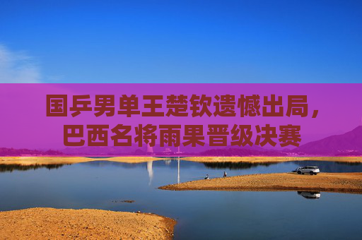 国乒男单王楚钦遗憾出局，巴西名将雨果晋级决赛