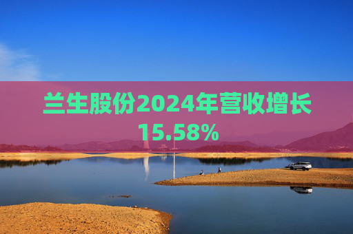 兰生股份2024年营收增长15.58%