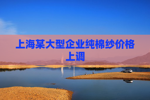 上海某大型企业纯棉纱价格上调
