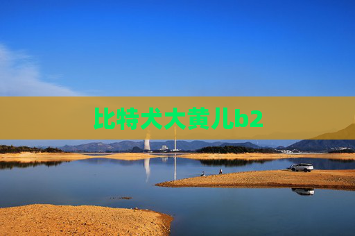 比特犬大黄儿b2