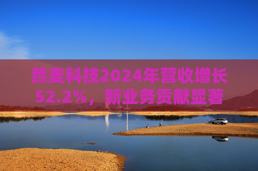 燕麦科技2024年营收增长52.2%，新业务贡献显著
