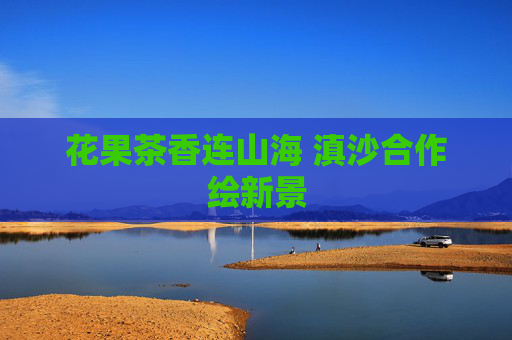 花果茶香连山海 滇沙合作绘新景