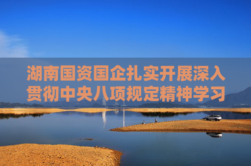 湖南国资国企扎实开展深入贯彻中央八项规定精神学习教育——以作风建设成效推动企业高质量发展