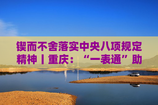锲而不舍落实中央八项规定精神丨重庆：“一表通”助力基层减负
