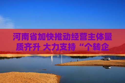 河南省加快推动经营主体量质齐升 大力支持“个转企”推进“小升规”