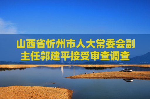 山西省忻州市人大常委会副主任郭建平接受审查调查