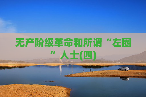 无产阶级革命和所谓“左圈”人士(四)