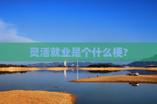 灵活就业是个什么梗?