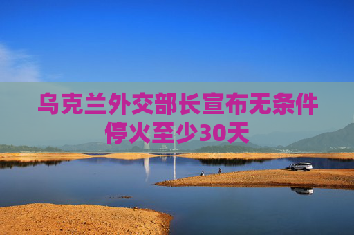 乌克兰外交部长宣布无条件停火至少30天