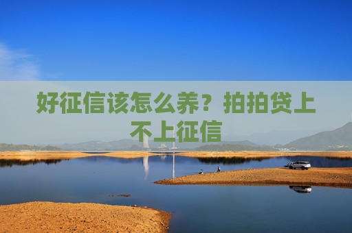 好征信该怎么养？拍拍贷上不上征信