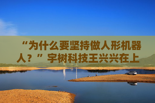 “为什么要坚持做人形机器人？”宇树科技王兴兴在上海袒露心声