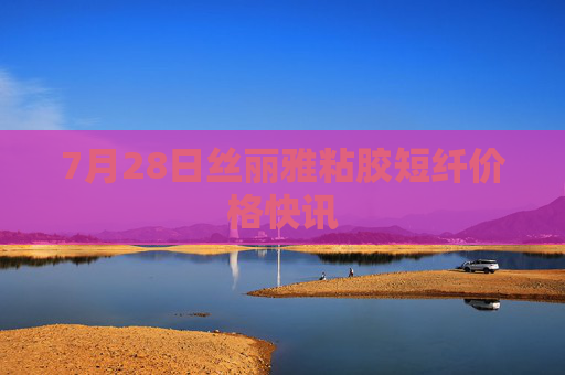 7月28日丝丽雅粘胶短纤价格快讯