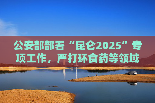 公安部部署“昆仑2025”专项工作，严打环食药等领域突出犯罪