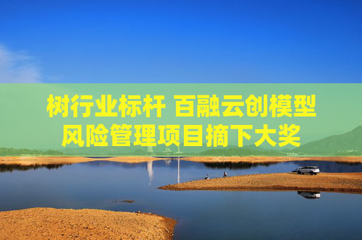 树行业标杆 百融云创模型风险管理项目摘下大奖