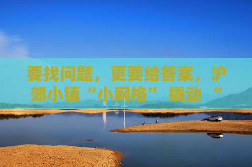 要找问题，更要给答案，沪郊小镇“小网格” 撬动 “大治理”