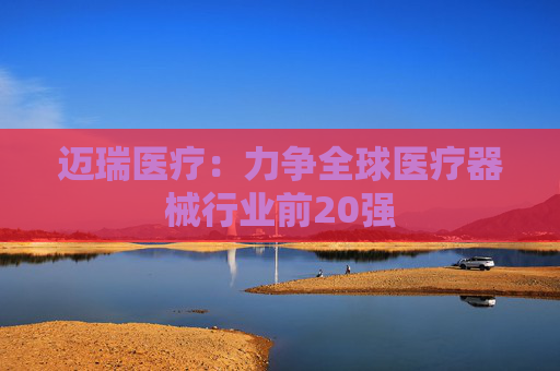 迈瑞医疗：力争全球医疗器械行业前20强