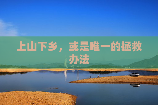 上山下乡，或是唯一的拯救办法