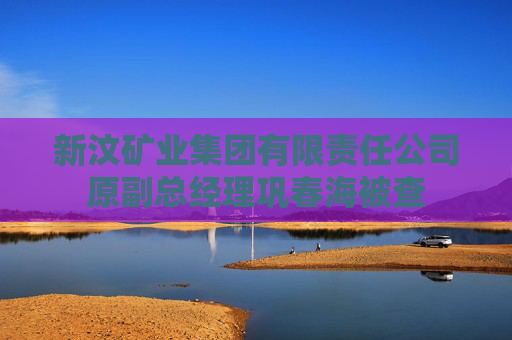 新汶矿业集团有限责任公司原副总经理巩春海被查