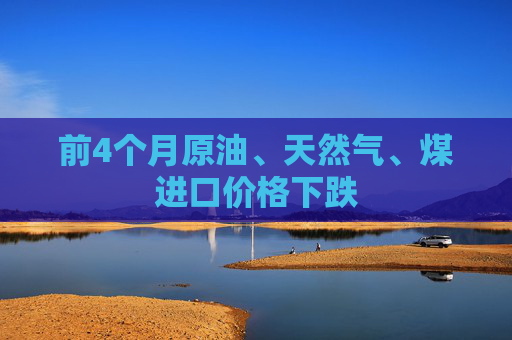 前4个月原油、天然气、煤进口价格下跌
