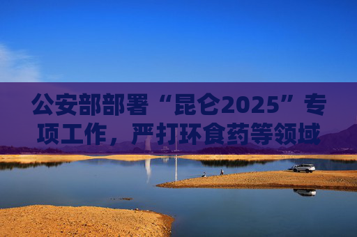 公安部部署“昆仑2025”专项工作，严打环食药等领域突出犯罪