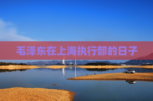 毛泽东在上海执行部的日子