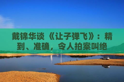 戴锦华谈 《让子弹飞》：精到、准确，令人拍案叫绝