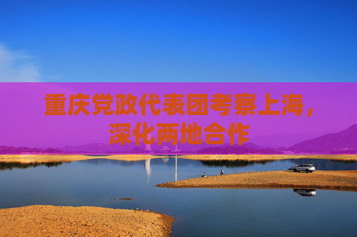 重庆党政代表团考察上海，深化两地合作