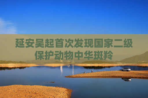 延安吴起首次发现国家二级保护动物中华斑羚