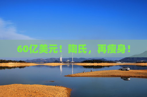 60亿美元！陶氏，再瘦身！