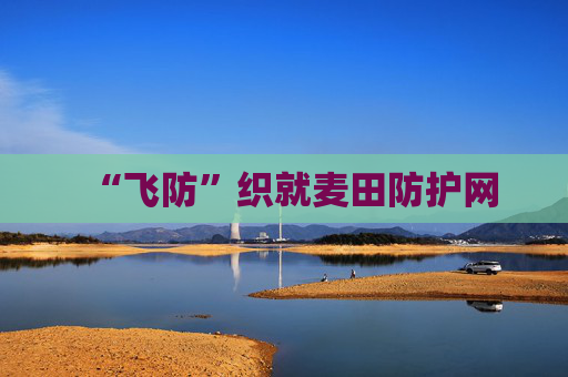 “飞防”织就麦田防护网