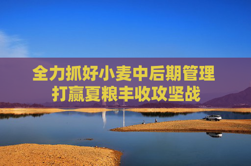全力抓好小麦中后期管理 打赢夏粮丰收攻坚战