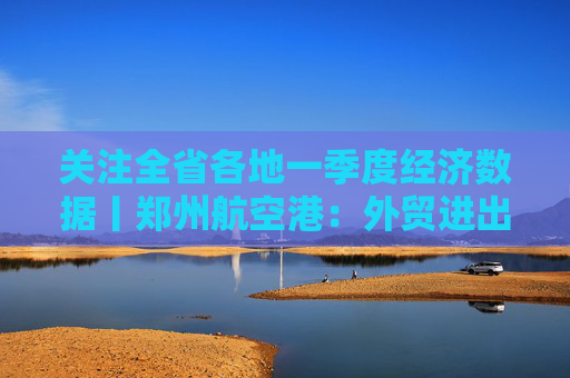 关注全省各地一季度经济数据丨郑州航空港：外贸进出口实现全省“双第一”
