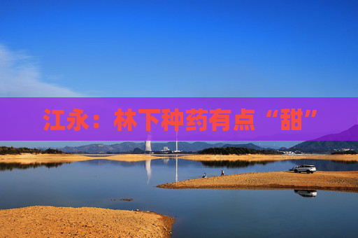 江永：林下种药有点“甜”